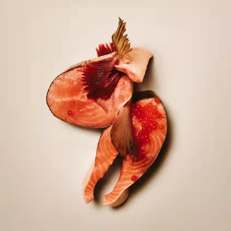 Carnilove - Croquettes Sans Céréales Saumon & Dinde pour Chat Stérilisé