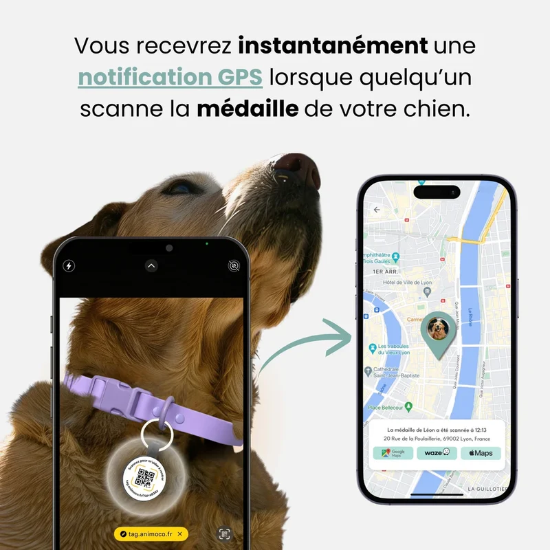 Animoco - Médaille Connectée QR Code Polyvalente