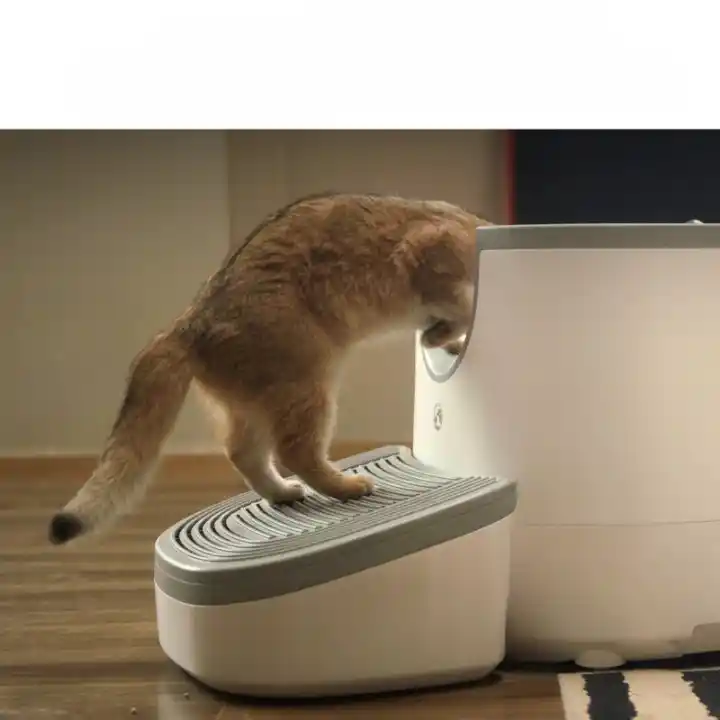 Rampe litière chat