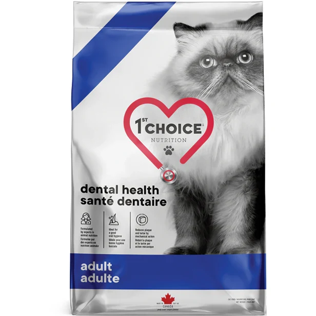 1st Choice - Santé Dentaire Chat