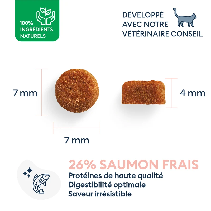 Marly & Dan - Croquettes Sans Céréales au Saumon pour Chaton