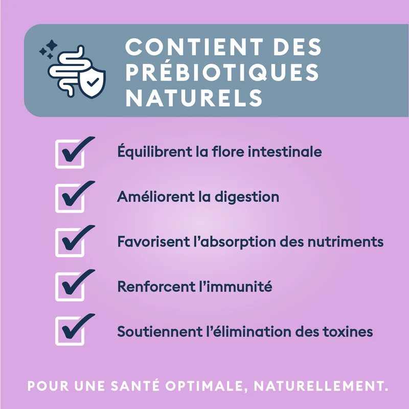 Marly & Dan - Croquettes Sans Céréales au Saumon pour Chaton