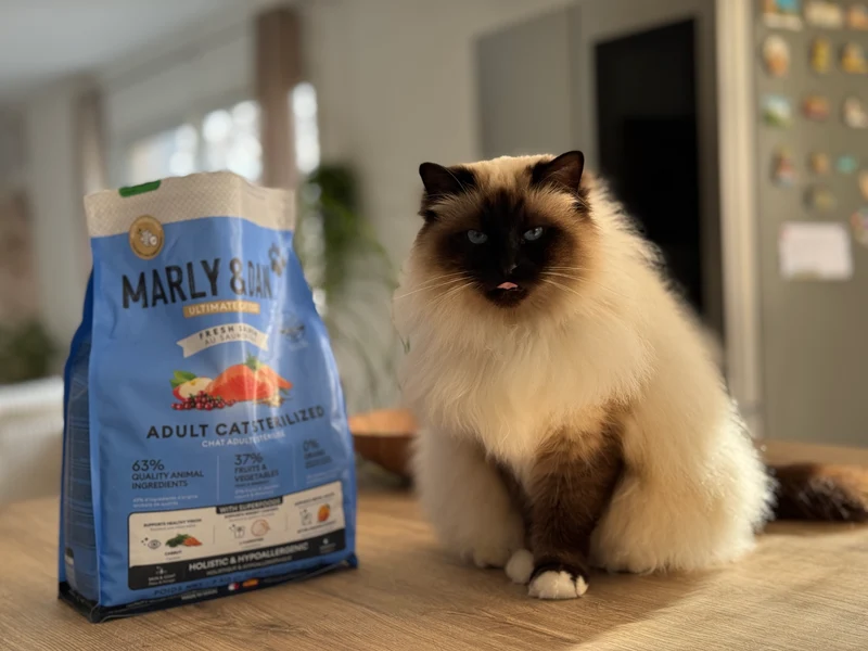Marly & Dan - Croquettes Sans Céréales au Saumon pour Chat Adulte et Stérilisé