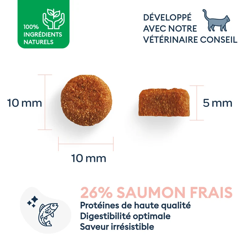 Marly & Dan - Croquettes Sans Céréales au Saumon pour Chat Adulte et Stérilisé