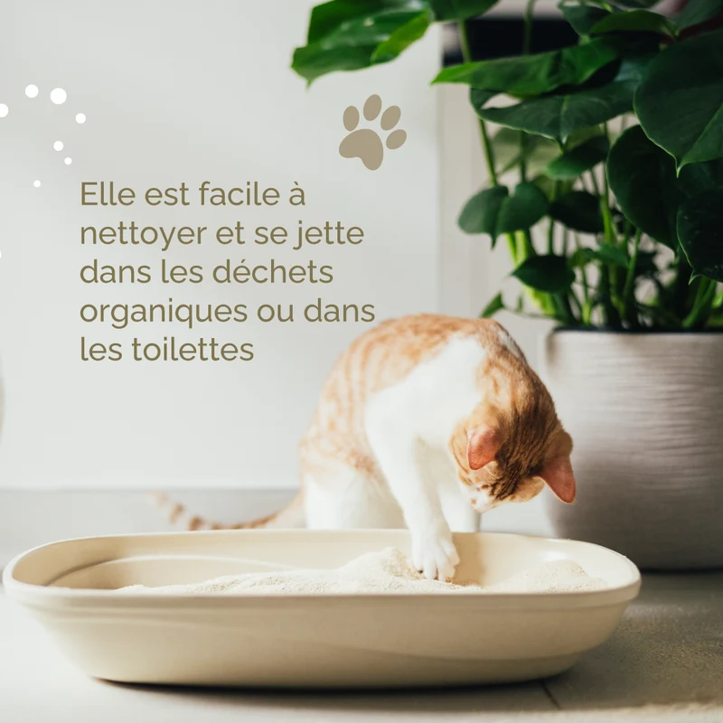 Almo Nature - Litière Végétale Ecologique Cat Litter Soft Texture