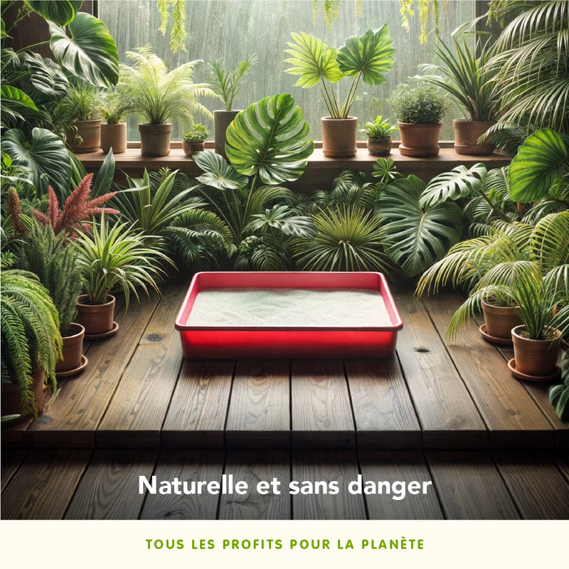 Almo Nature - Litière Végétale Ecologique Cat Litter Soft Texture