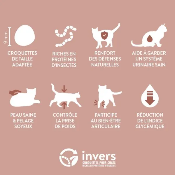 Invers - Croquettes aux Insectes pour Chat Senior