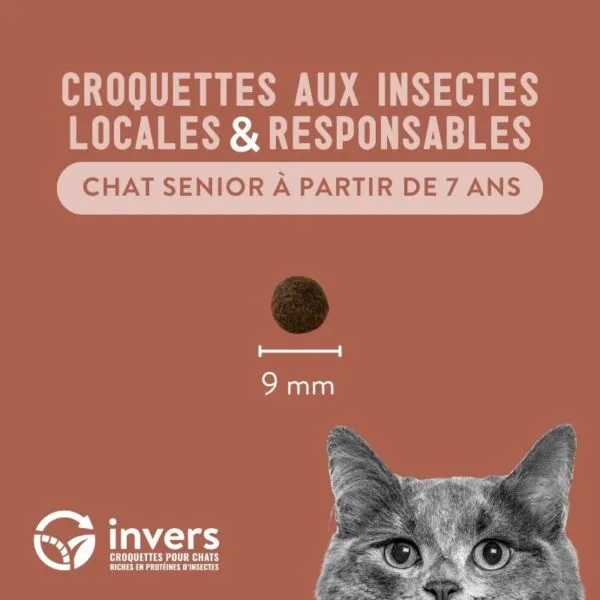 Invers - Croquettes aux Insectes pour Chat Senior