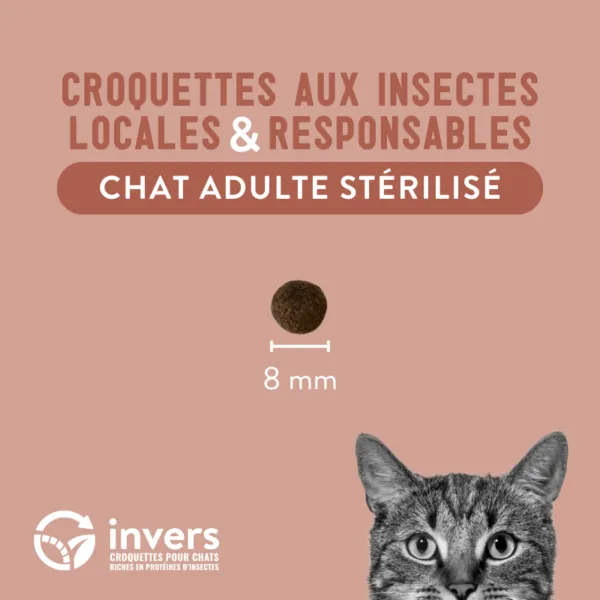 Invers - Croquettes aux Insectes pour Chat Adulte & Stérilisé