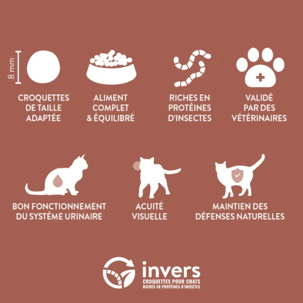 Invers - Croquettes aux Insectes pour Chat Adulte & Stérilisé