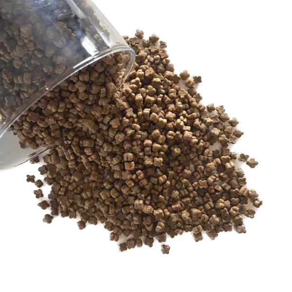 Invers - Croquettes aux Insectes pour Chaton
