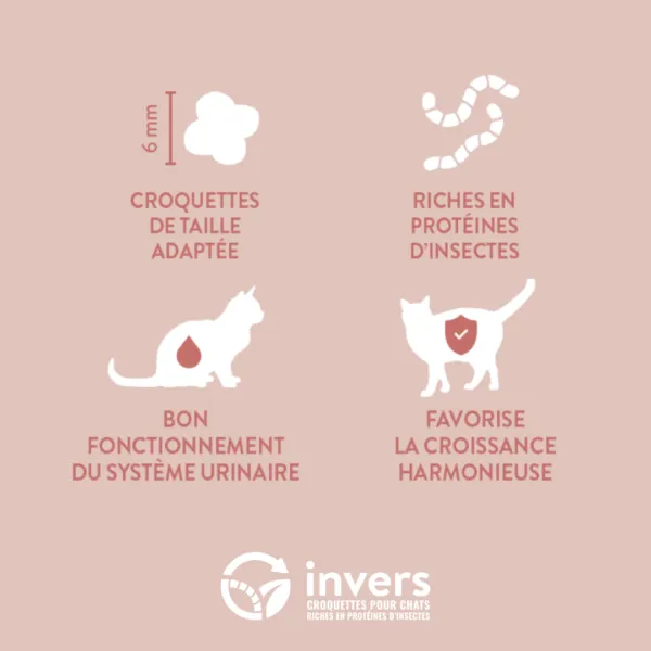Invers - Croquettes aux Insectes pour Chaton