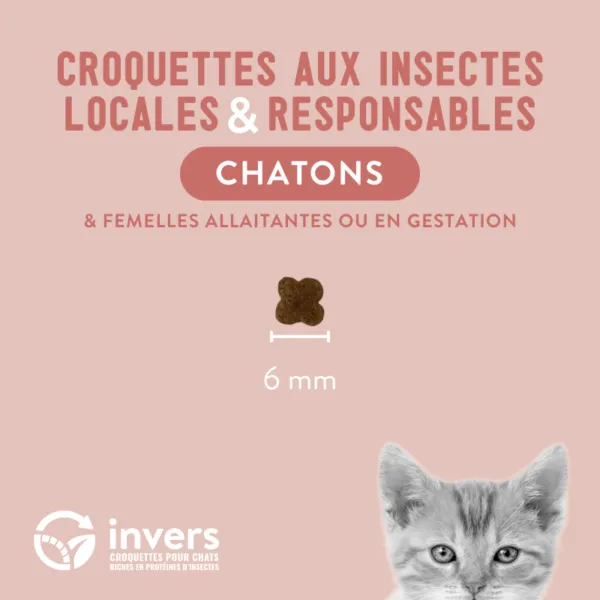 Invers - Croquettes aux Insectes pour Chaton
