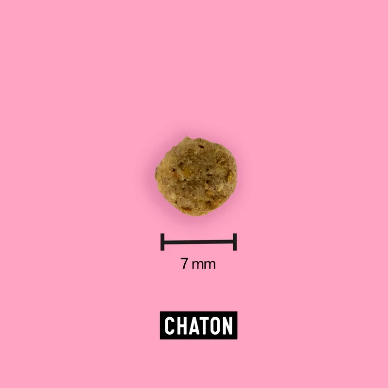 Tomojo - Croquettes aux Insectes pour Chaton