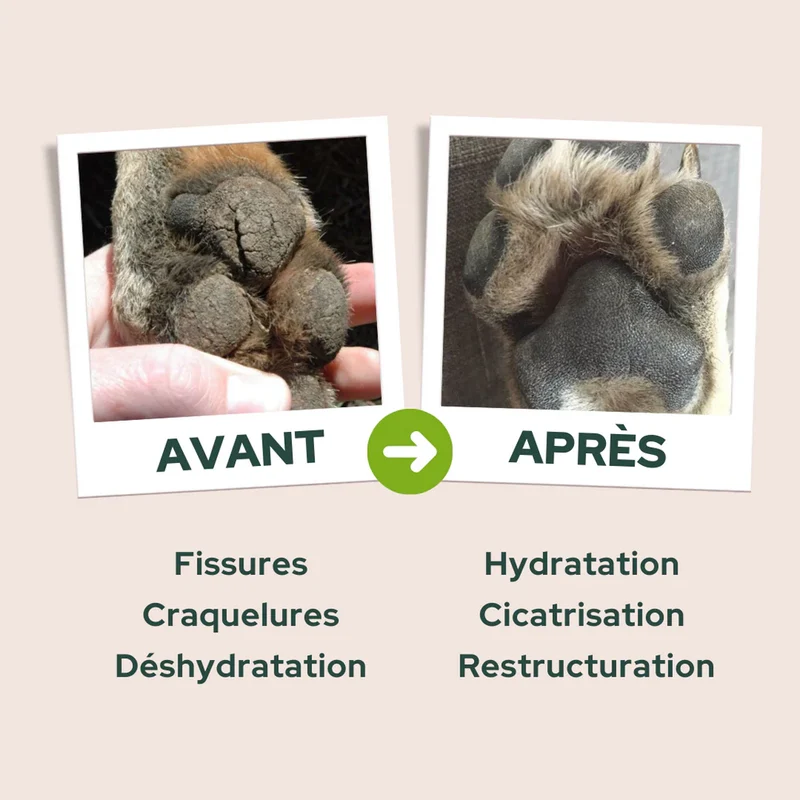 Equilibre & Instinct - Baume réparateur 100% naturel