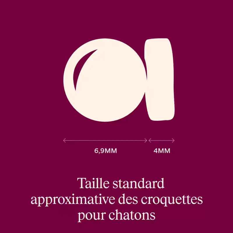 Carnilove - Croquettes Sans Céréales Saumon & Dinde pour Chaton