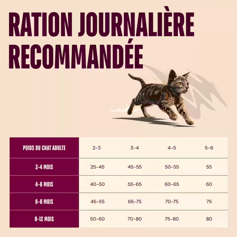 Carnilove - Croquettes Sans Céréales Saumon & Dinde pour Chaton
