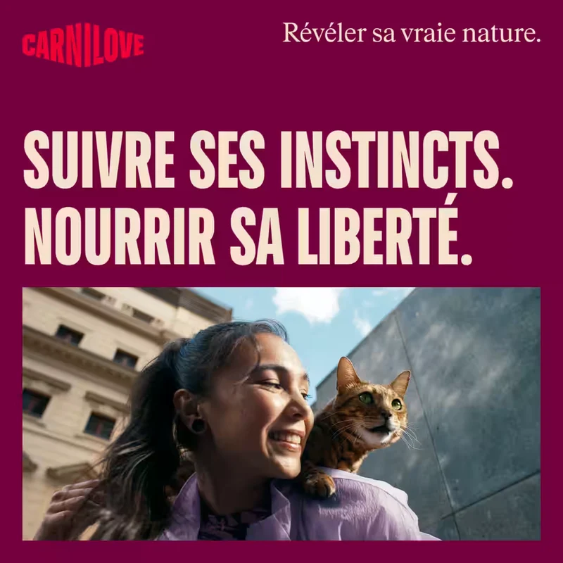 Carnilove - Croquettes Sans Céréales Saumon & Dinde pour Chaton