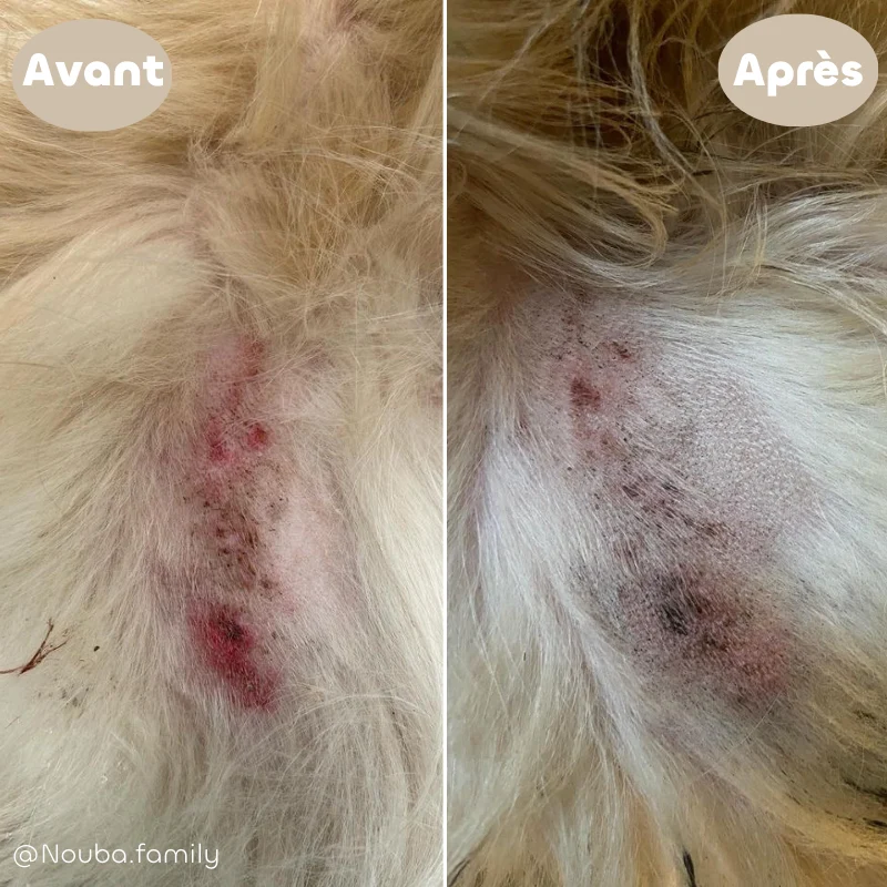 Biovetol - Baume Bio et Naturel Apaisant et Nourrissant