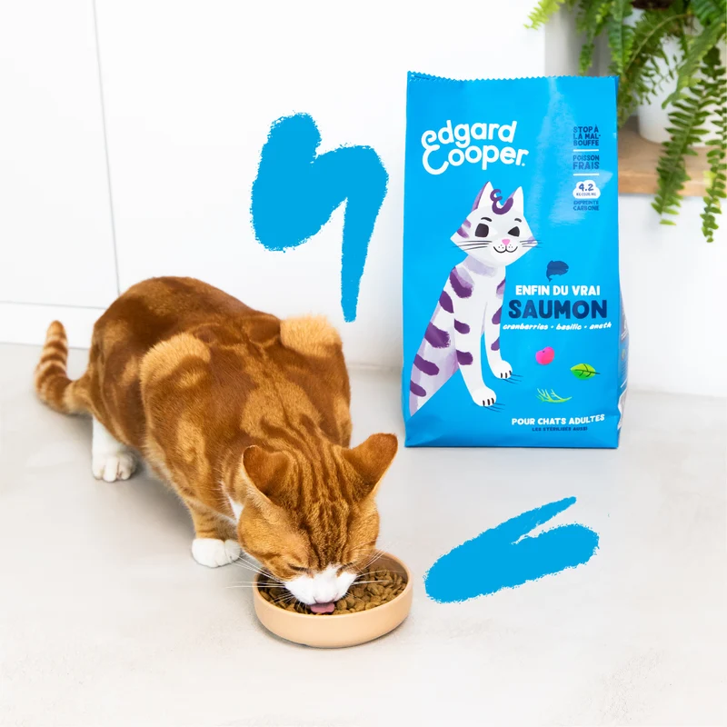 Edgard Cooper - Croquettes Sans Céréales au Saumon pour Chat