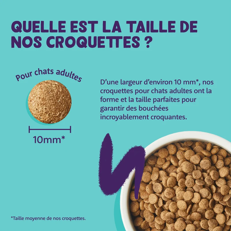 Edgard Cooper - Croquettes Sans Céréales au Saumon pour Chat