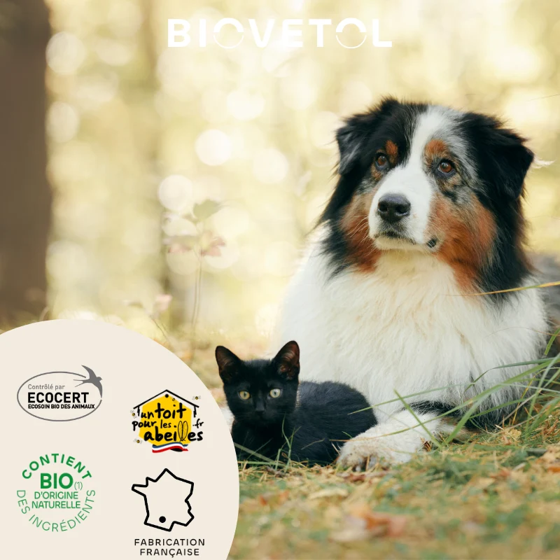 Biovetol - Shampoing Anti-Démangeaisons Bio (recharge écologique)