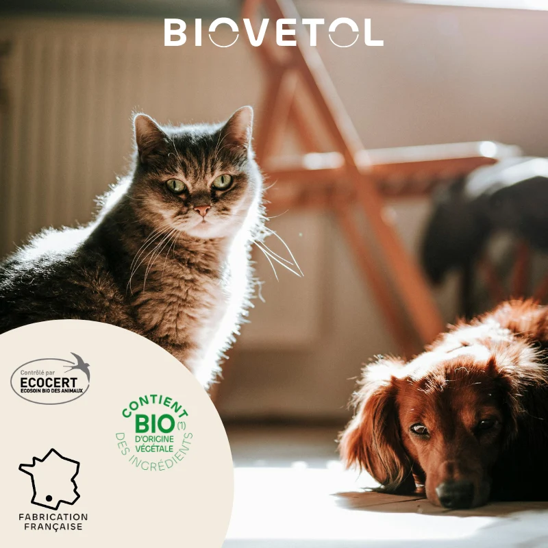 Biovetol - Shampoing Anti-Insectes Bio