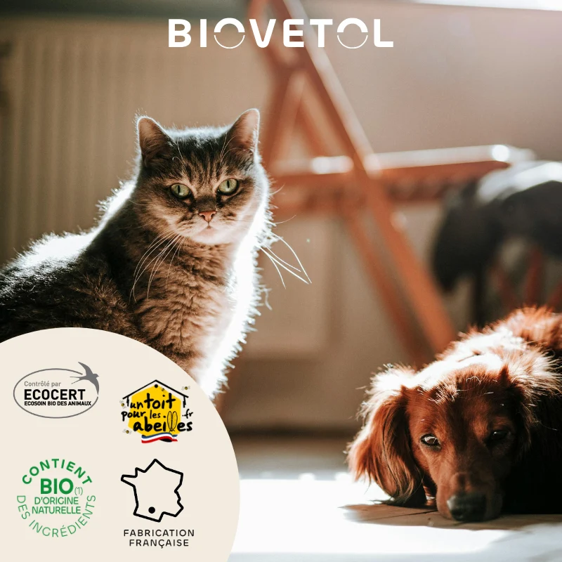 Biovetol - Lotion Oculaire Bio