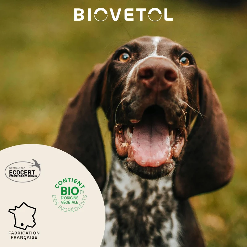 Biovetol - Pipettes Antiparasitaires pour Chien de Taille Moyenne
