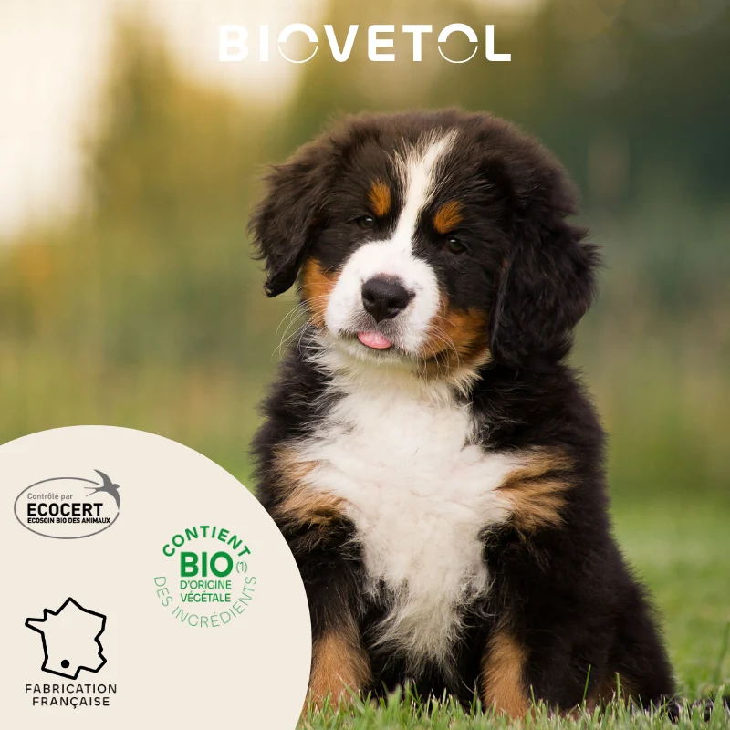 Biovetol - Pipettes Antiparasitaires pour Chiot et Chien de Petite Taille