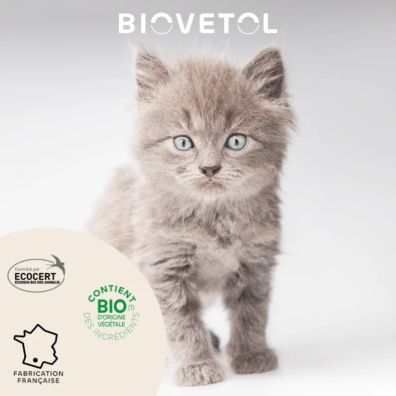 Biovetol - Pipettes Antiparasitaires pour Chat & Chaton