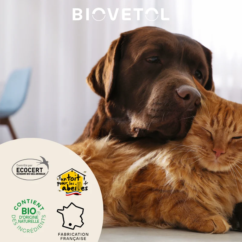 Biovetol - Lotion Anti-Démangeaisons Bio (recharge écologique)