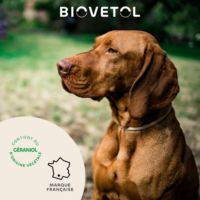 Biovetol - Collier Antiparasitaire pour Chien de Moyenne et Grande Taille