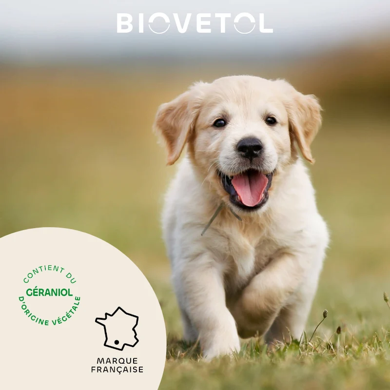 Biovetol - Collier Antiparasitaire pour Chiot et Chien de Petite Taille