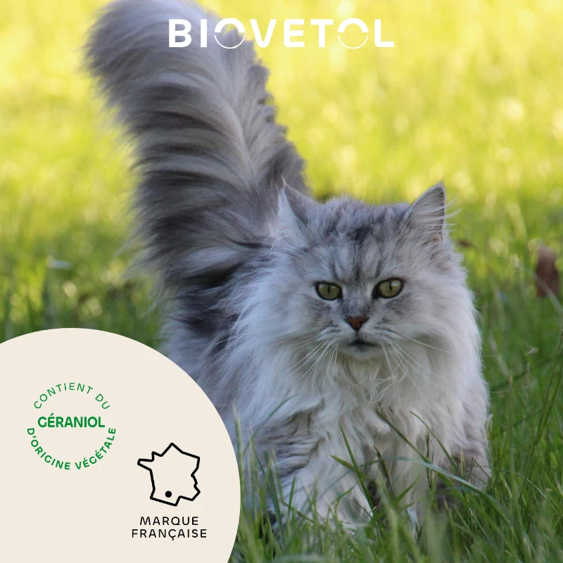 Biovetol - Collier Antiparasitaire pour Chat & Chaton