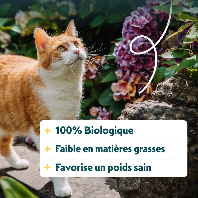 Yarrah - Croquettes Biologiques Sans Blé Poulet & Poisson pour Chat Stérilisé