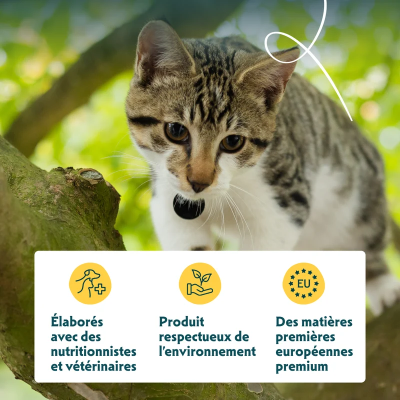 Yarrah - Croquettes Biologiques Sans Blé Poulet & Poisson pour Chat Stérilisé
