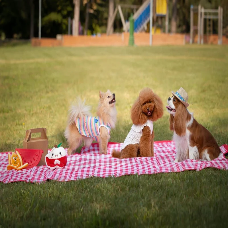 Coperta picnic - Fantasia Sally