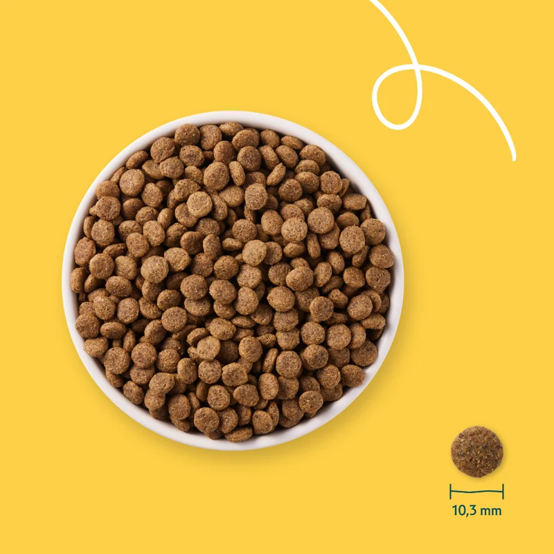 Yarrah - Croquettes Bio Sans Blé Poulet & Poisson pour Chat et Chaton