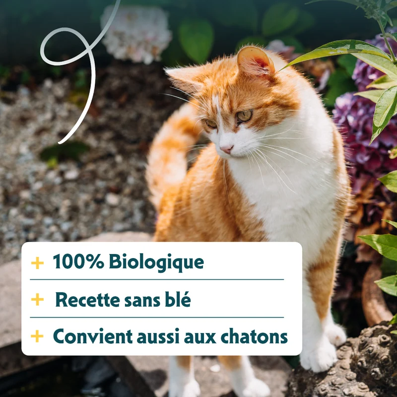 Yarrah - Croquettes Bio Sans Blé Poulet & Poisson pour Chat et Chaton