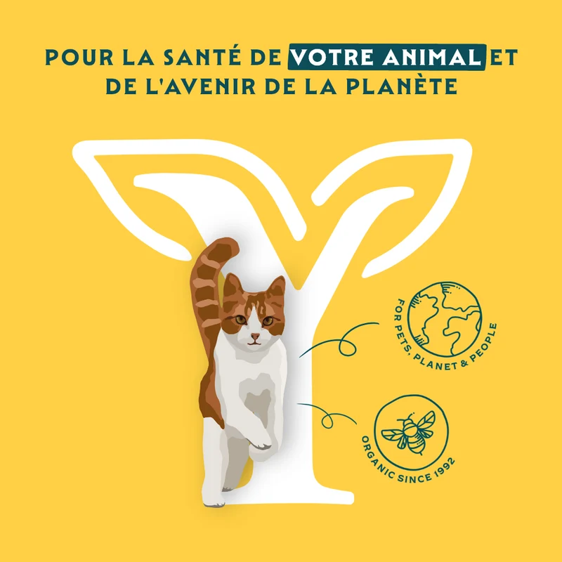 Yarrah - Croquettes Bio Sans Blé Poulet & Poisson pour Chat et Chaton
