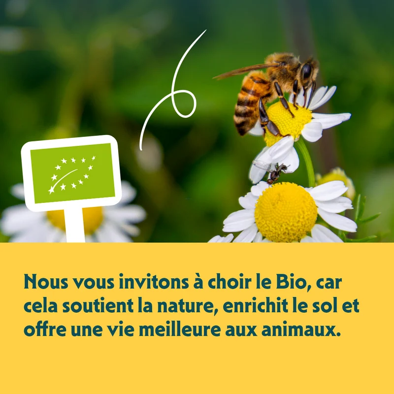Yarrah - Croquettes Bio Sans Blé Poulet & Poisson pour Chat et Chaton