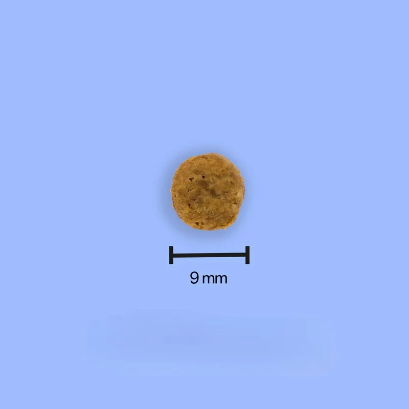 Tomojo - Croquettes aux Insectes Sans Céréales pour Chat