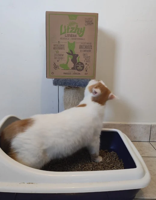Eizhy - Litière Végétale et Compostable Litzhy à base de Paille de Colza
