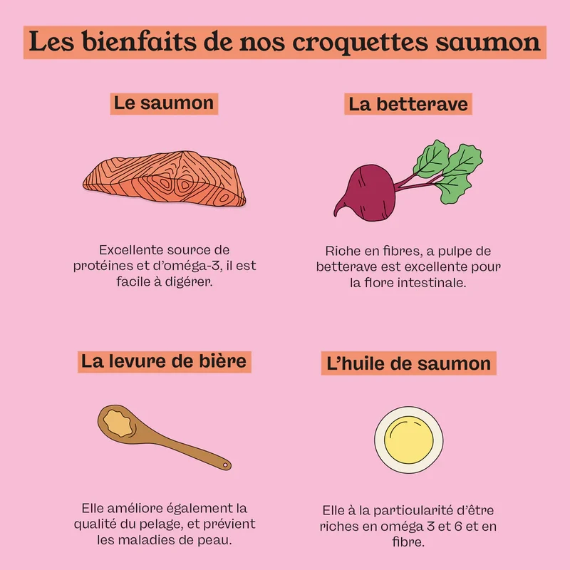 Petty Well - Croquettes Sans Céréales Saumon & Thon pour Chat