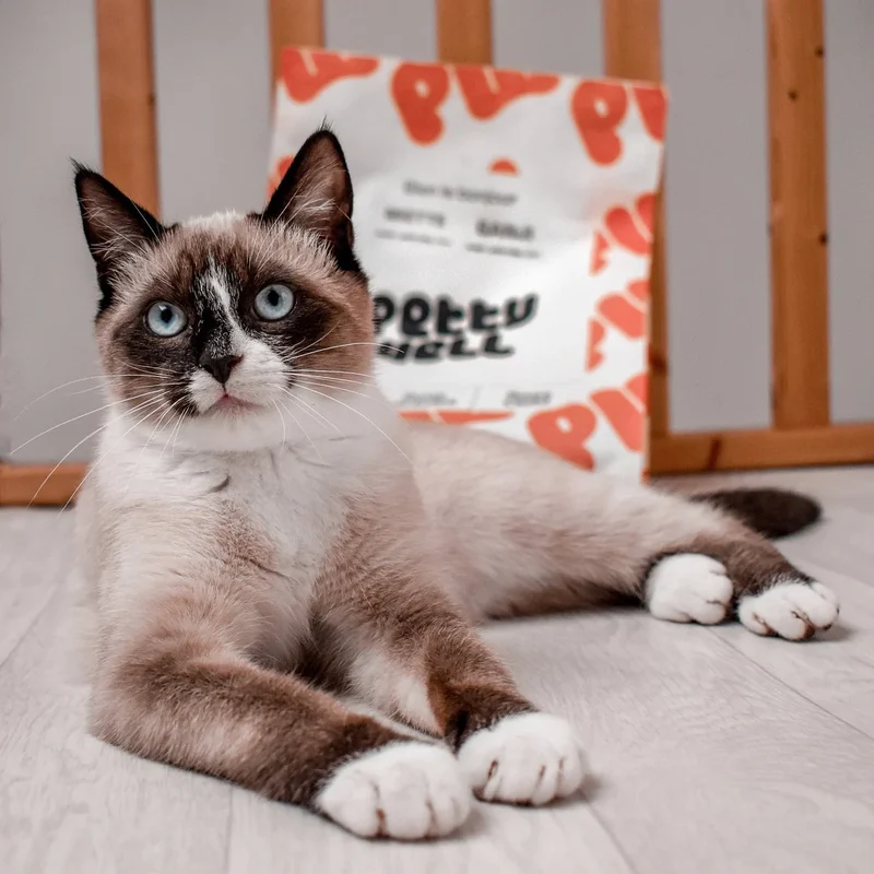 Petty Well - Croquettes Sans Céréales Poulet & Dinde pour Chat