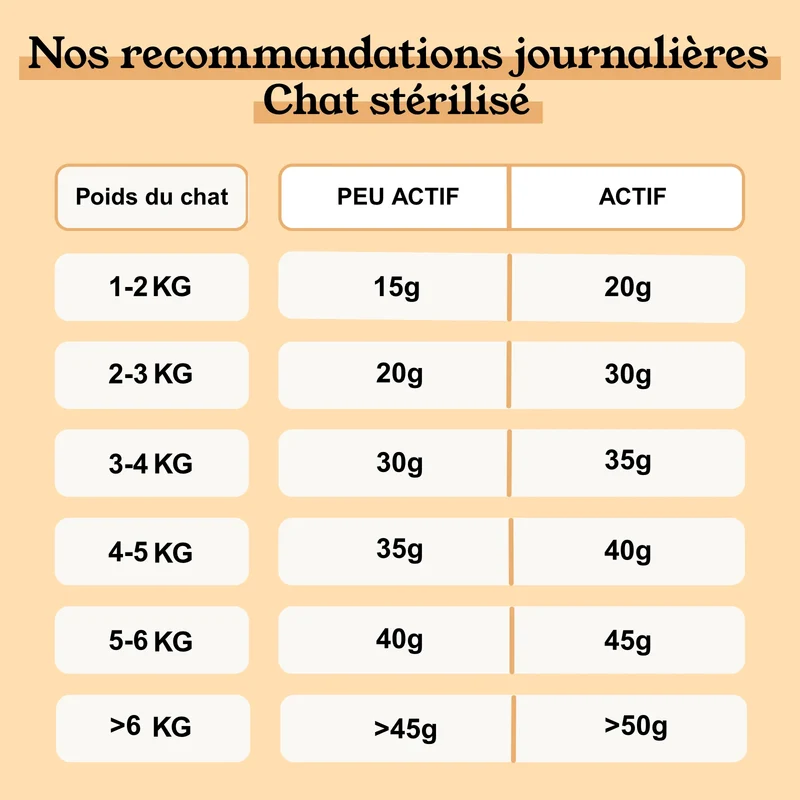Petty Well - Croquettes Sans Céréales Poulet & Dinde pour Chat