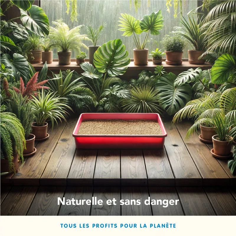 Almo Nature - Litière Végétale Ecologique Cat Litter Grain Texture
