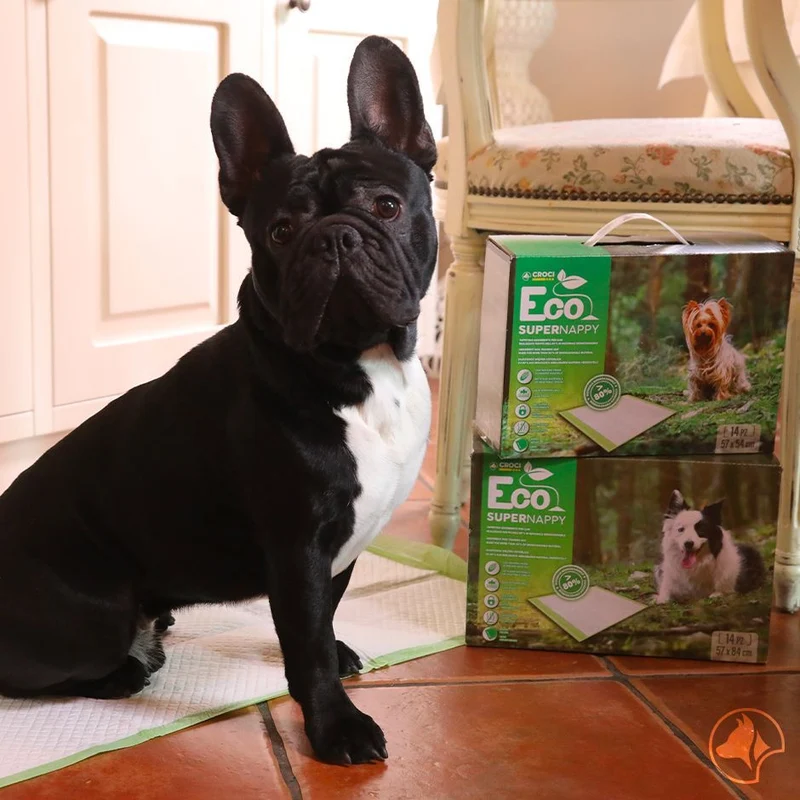 Tappetini Igienici per Cani Biodegradabili e Super Assorbenti