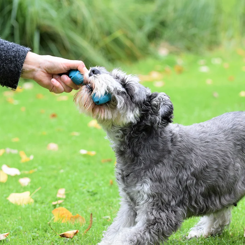 Rope: gioco resistente Bobby per cane in gomma